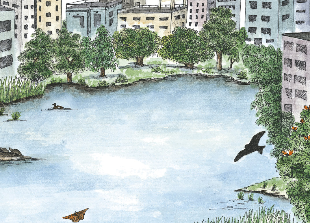 wildlife-in-a-city-pond